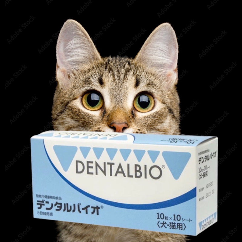 共立制药 犬猫用口腔除菌 Dentalbio 100粒装